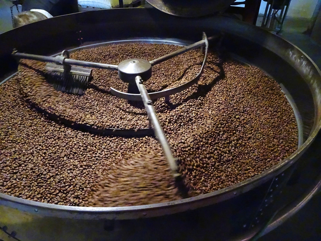 Coffee beans in a roaster's cooling tray